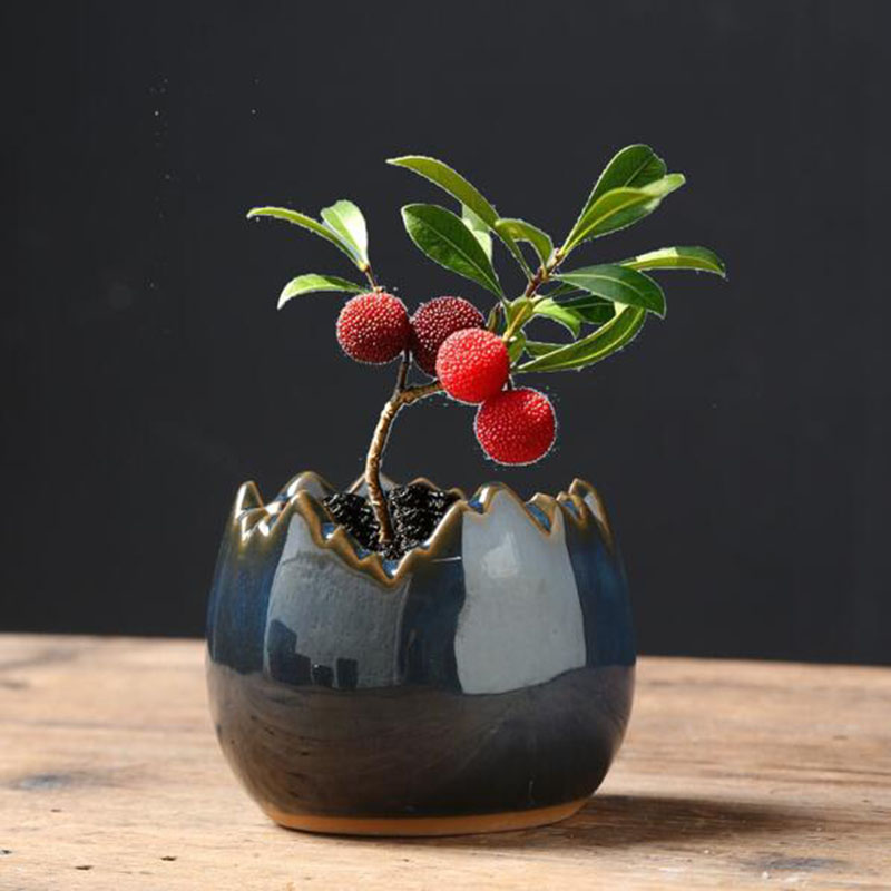 Bonsai Garden Art - Keramik-Blumentopf mit Glasierteffekt in Eierschalenform, Kreativer