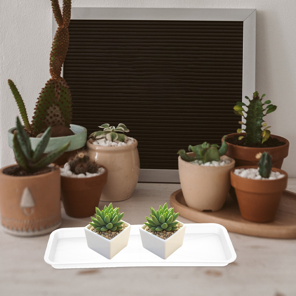 Drip Tray Saucer - 5 Stück rechteckige, flache Pflanzentöpfe aus