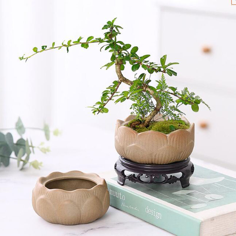 Grobe Keramik Lotus grün Blume – Bonsai Garden Art Bewertung und Preis